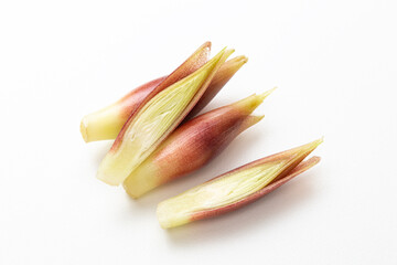 ミョウガ　白バック