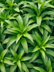 Fototapeta premium Vibrant green plant life lush garden close-up photography natural environment top-down view botanical beauty