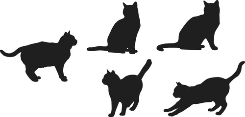 Cat silhouettes, sitting, walking, stretching, black cat vector, domestic pet pose, animal shapes, feline motion, cute kitten icon, graphic