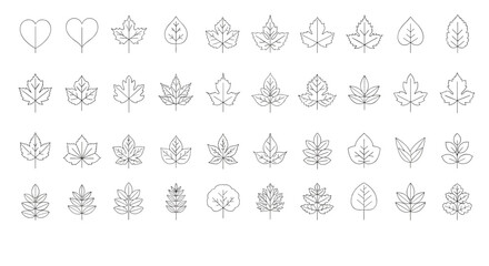 Fototapeta premium Collection of diverse hand drawn leaf illustrations representing nature and seasons