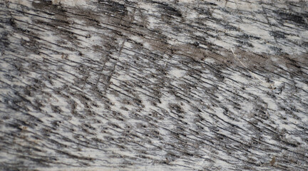 Old wood texture background. Floor surface with scratches and cracks. Close up.