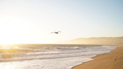 Warm beautiful sunset on the beach with sun rays