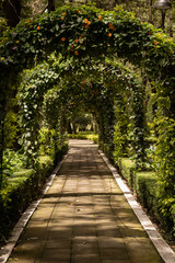 path in the park