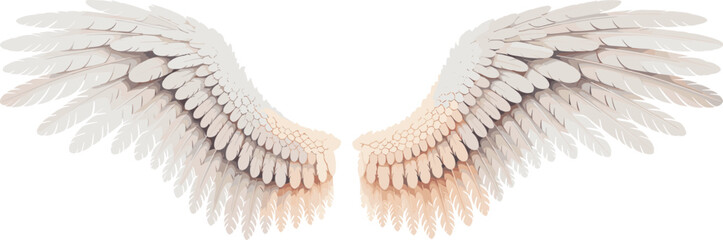 White angel wings vector illustration, soft feather texture, detailed wing design, spiritual fantasy element, decorative open wings clipart, isolated on transparent background
