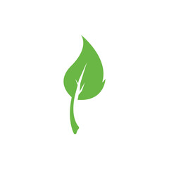 Green leaf logo