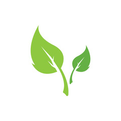 Green leaf logo