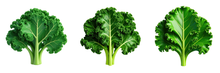 Three Dimensional Plastic Style Kale Leaves on Black Background with Detailed Green Hues Showing Textured Veins and Edges
