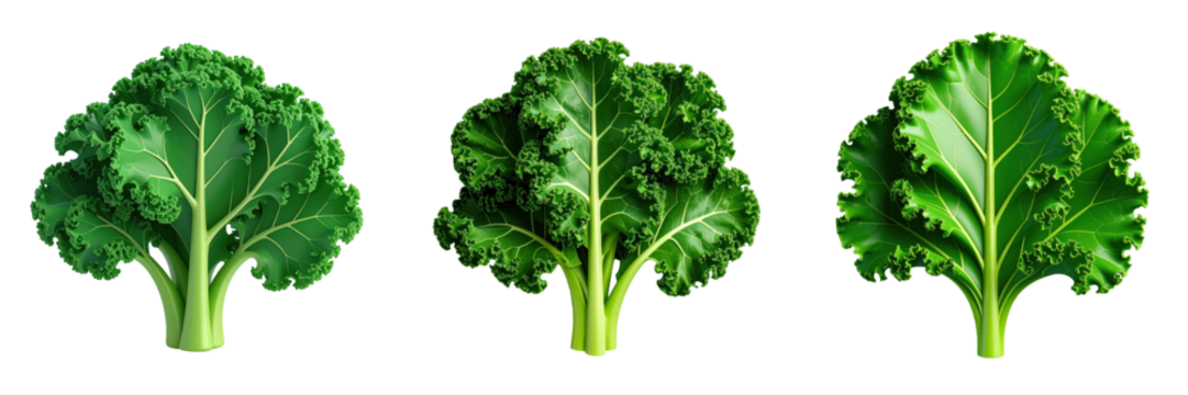 Three Dimensional Plastic Style Kale Leaves on Black Background with Detailed Green Hues Showing Textured Veins and Edges