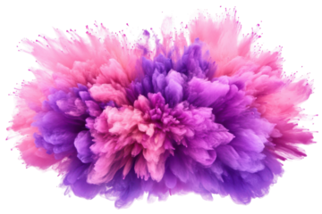 Vibrant pink and purple powder explosion isolated on transparent background. Pink purple neon color powder explosion isolated on white background.