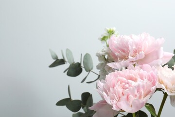 Beautiful pink peonies with eucalyptus branches close-up © Sunlight