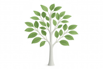 Green stylized tree with white trunk, 3d rendered against transparent background, representing environmental design and natural concepts