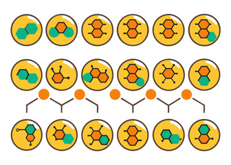 Obraz premium A row of yellow and orange circles with a green circle in the middle