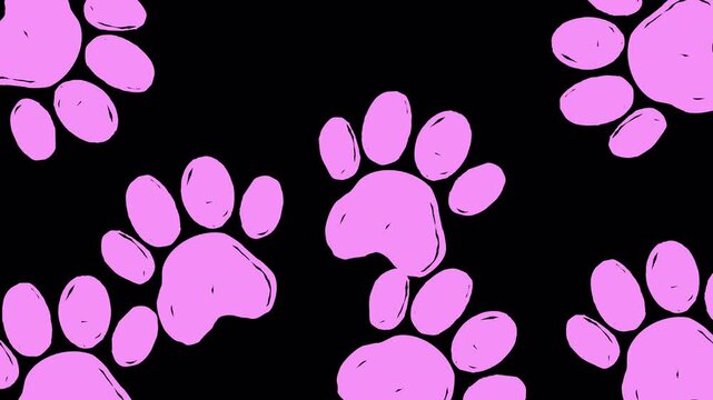 Hand drawn paw pads transition with alpha channel. 4k video
