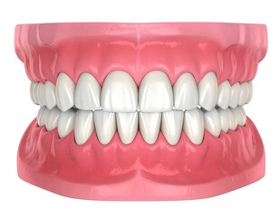 Obraz premium 3D Dental Model of Teeth