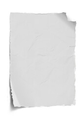 Blank torn edge paper sheet. A piece of off-white paper with irregular edges. Torn paper strips with rough edges isolated