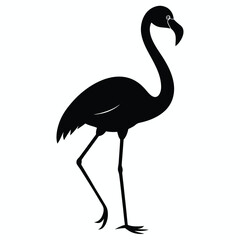 Elegant silhouette of a flamingo standing proudly on its long legs