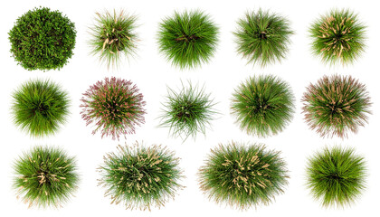 Obraz premium Aerial view, assorted textured green and red-brown tufted plants on black background