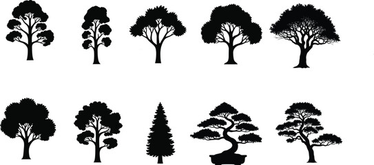 Black tree silhouettes collection, diverse tree shapes, bonsai tree, pine tree, forest trees vector, nature illustration, botanical silhouettes, landscape element
