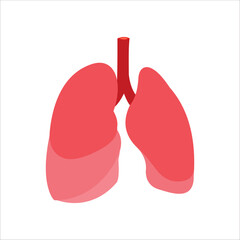 Lung human icon, respiratory system healthy lungs anatomy flat medical organ icon. Vector