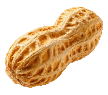 Close-up of a single peanut in its shell.  The shell is a light brown, with a rough, textured surface.  The peanut is positioned diagonally