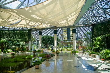 Yeomiji Atrium and Pond