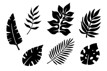 Tropical leaves vector silhouette, floral illustration, summer hawaiian plants set