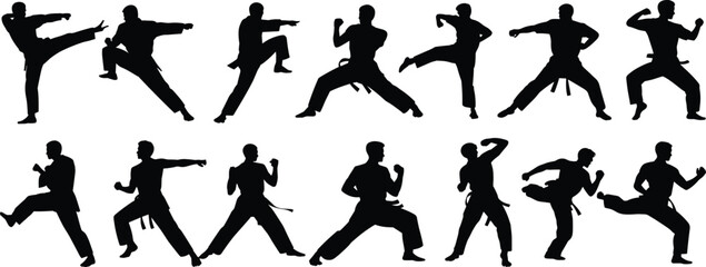 Martial arts silhouette vector set, karate poses, taekwondo kicks, kung fu stances, self defense moves, cad drawing flat vector illustration