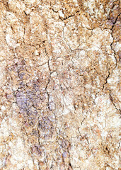 The ground has cracks in the top view for the background