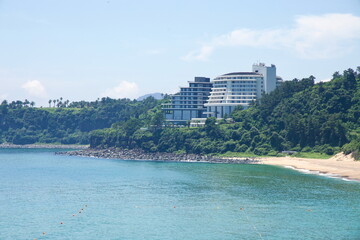 Dolhareubang beside Surfboard