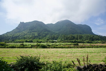 Obraz premium Sanbangsan Over Green Farmland