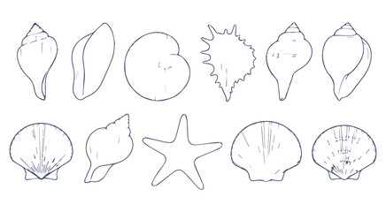 Hand Drawn Collection of Seashells and Starfish marine