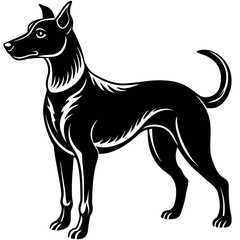 Illustration of a sleek and elegant dog standing tall