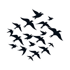 A flock of birds flying together in the sky