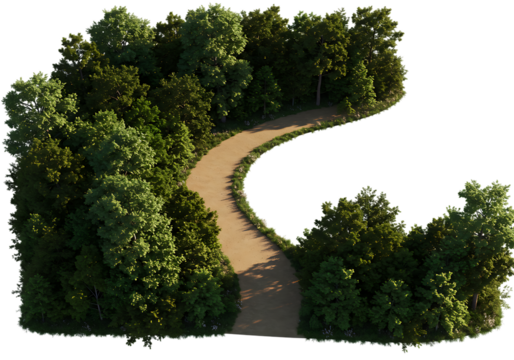 Aerial View of Winding Path Through Lush Green Forest, Nature Trail, Winding Road, Top Down Perspective isolated on transparent background - Powered by Adobe