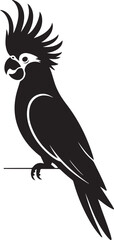 Vector black silhouette of a cockatoo parrot