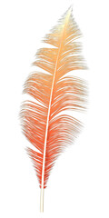 Fototapeta premium decorative 3d feather on transparent background