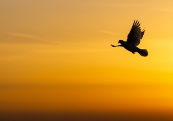Silhouette of a Flying Dove Against a Golden Sunset