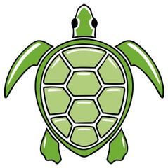 Obraz premium Green sea turtle illustration with a clean graphic style, top view, ready for design projects