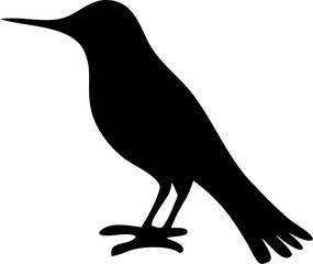 Bird Silhouette Vector | Flying Animal Outline Clipart SVG