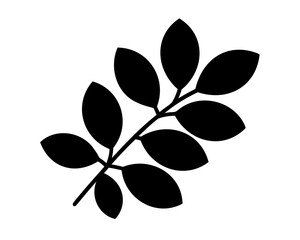 Silhouette image showing a branch with multiple leaves on a white background