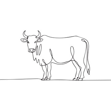 recommend clip art: Continuous line of walking standing African buffalo . Single one line art of wild African buffalo, One continuous line illustration of an African buffalo isolated on white background.