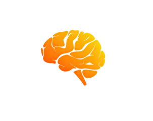 Orange stylized brain graphic on black