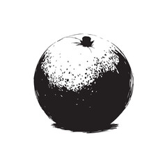 Grapefruit Vector (4).eps