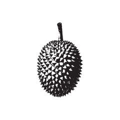 Durian Vector (2).eps