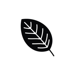 Single Black Leaf with White Veins on White Background Illustration