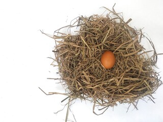 Top view of a fresh chicken egg on dried straw on white background