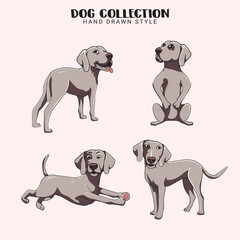 Cute Weimaraner dogs vector set Collection of hand drawn kawaii style in illustration