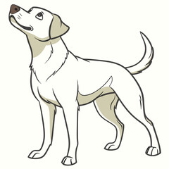 White dog looking up attentively brown nose