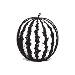 Watermelon Vector (1).eps