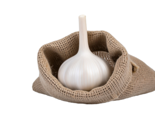 Burlap sack of garlic with one bulb standing alone on white
